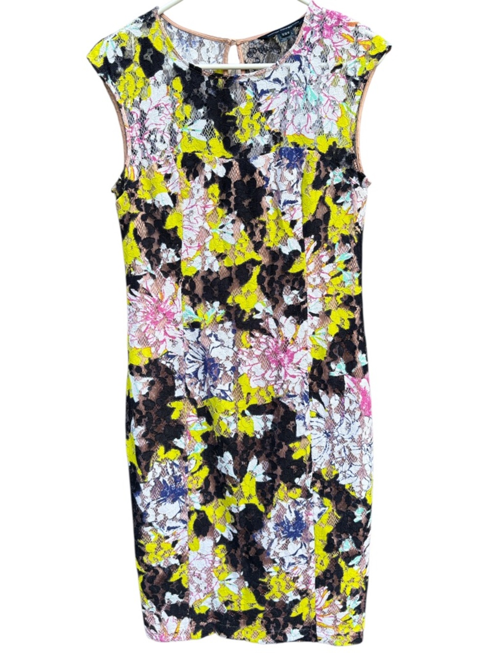 EUC French Connection Botanical Trip Lace Dress Size 8